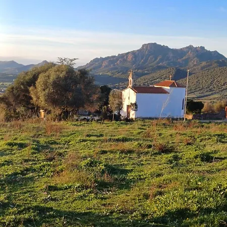 Pasare Glamping_anglonaruralexperience ラグジュアリーテント *